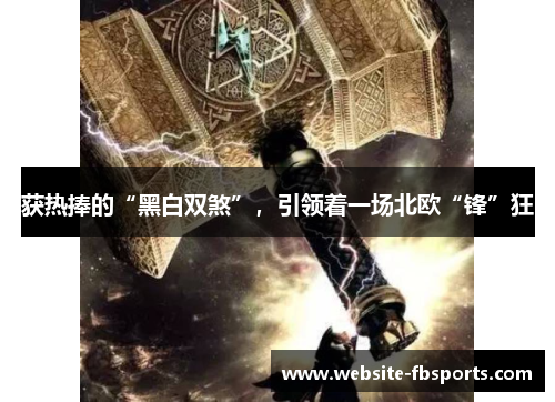 获热捧的“黑白双煞”，引领着一场北欧“锋”狂